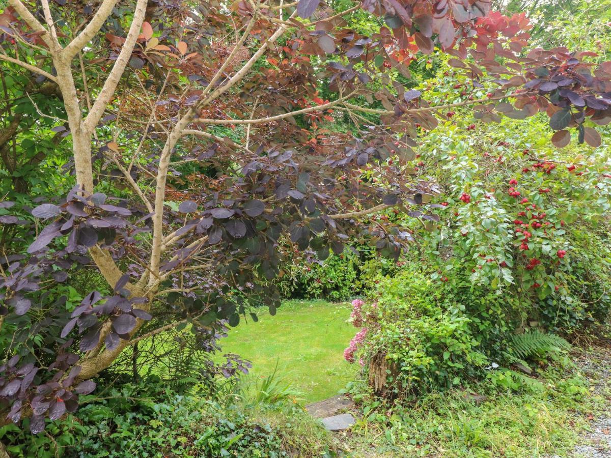 The Old Mill Villa Milford Haven Eksteriør bilde